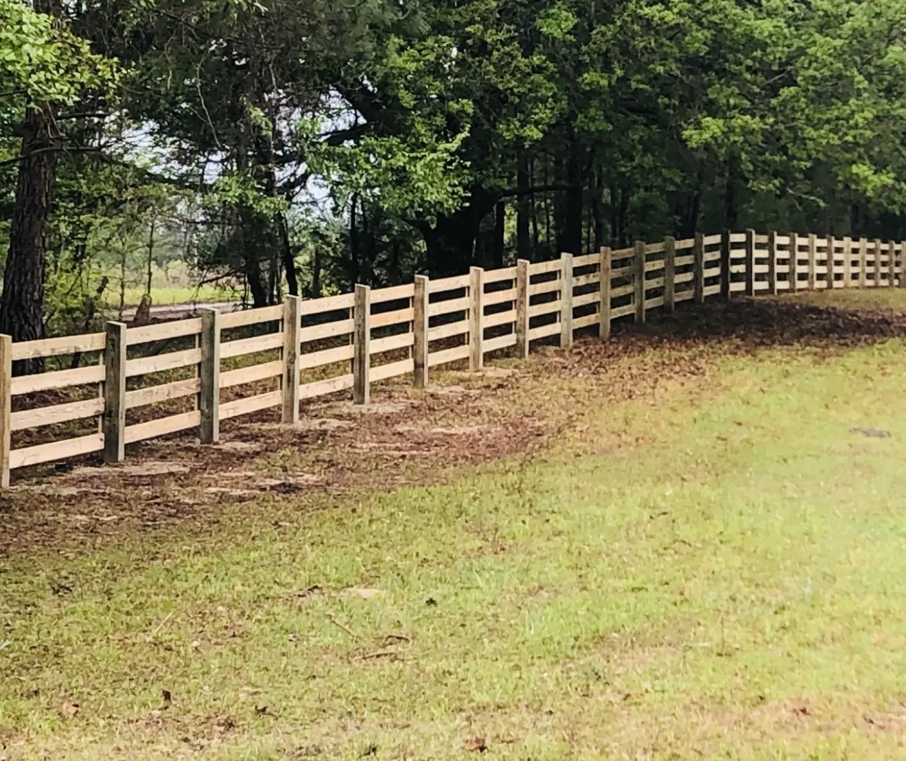 Long four-board wood horse fence following a wooded property line