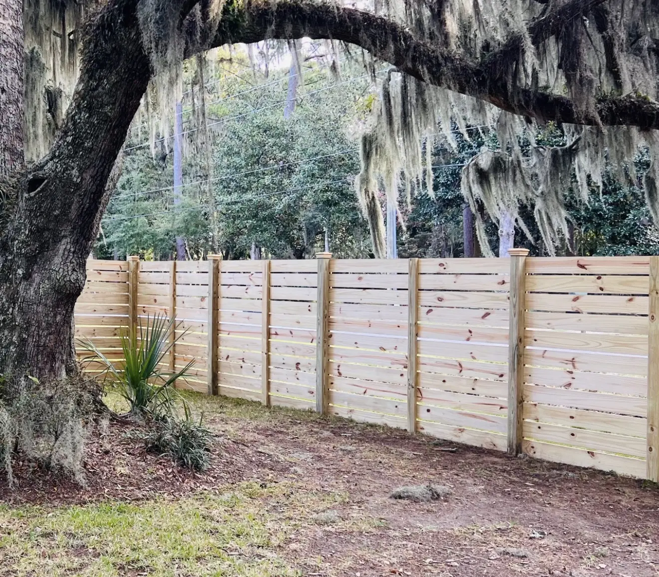 Horizontal wood privacy fence installed around a mature oak tree