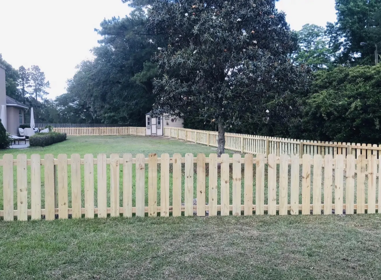 Natural wood picket fence enclosing a residential yard around a mature magnolia tree